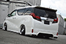 30 ALPHARD SA/SA-C/S/S-C/S-AiAYH30W/GGH30W/AGH30Wj