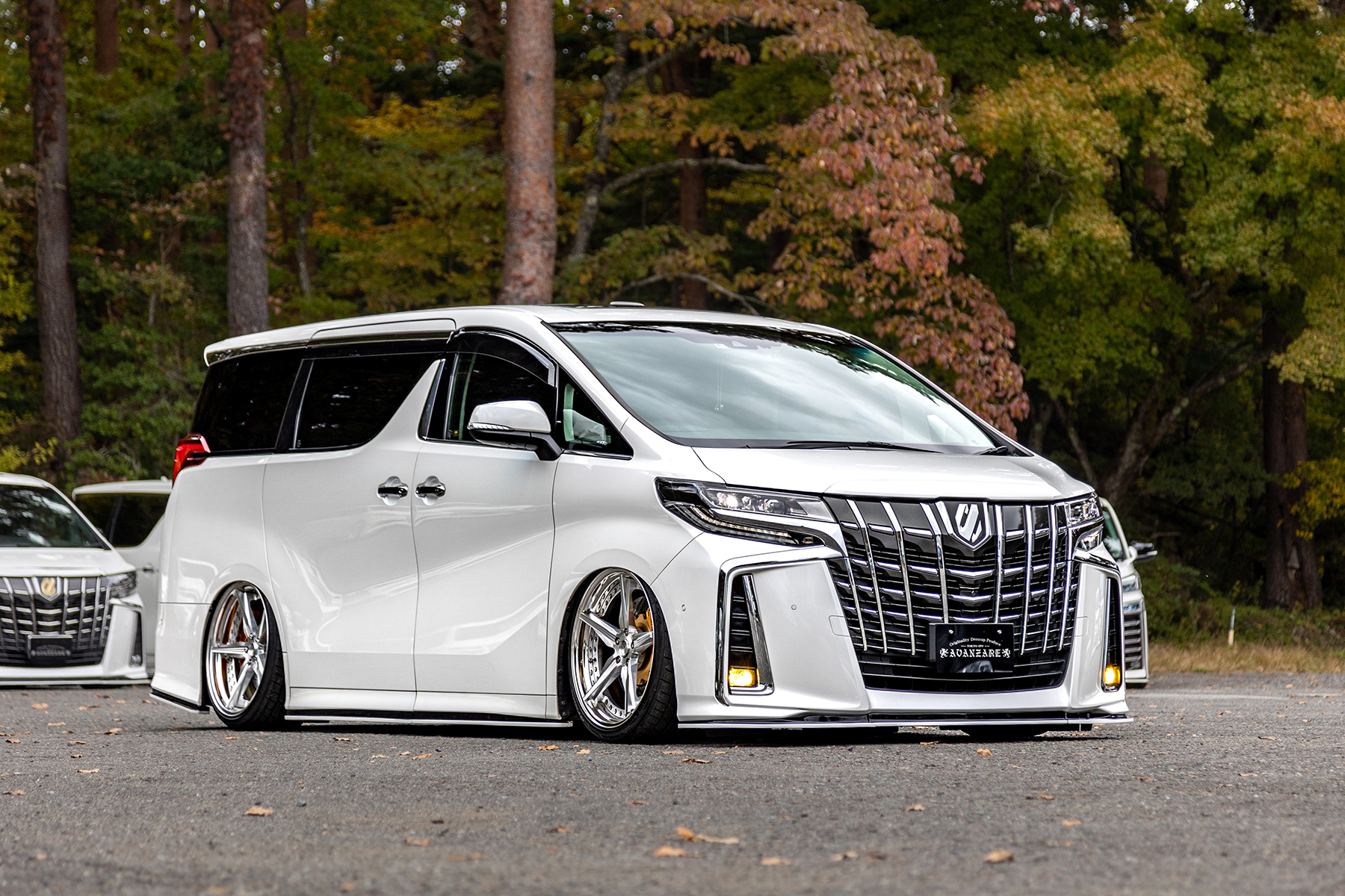 30 ALPHARD