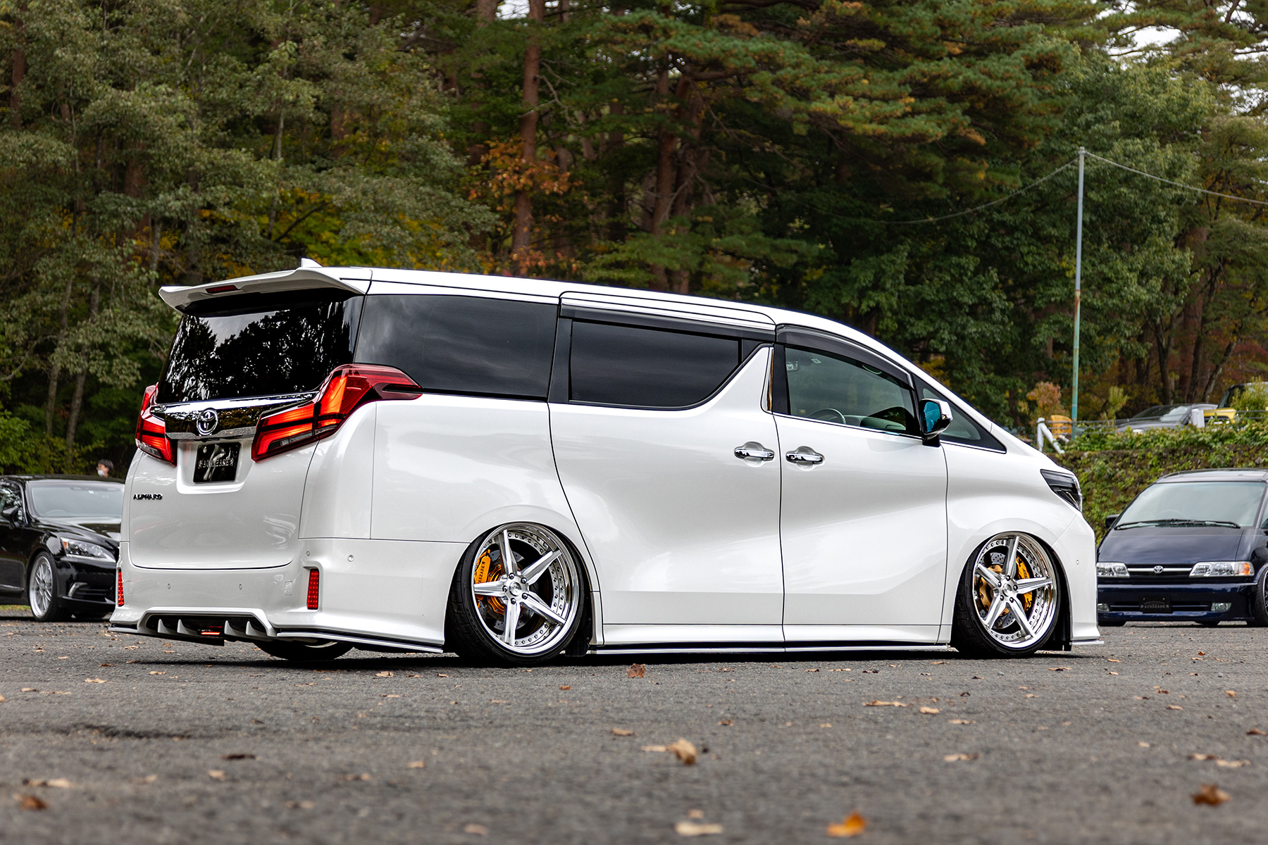 30 ALPHARD