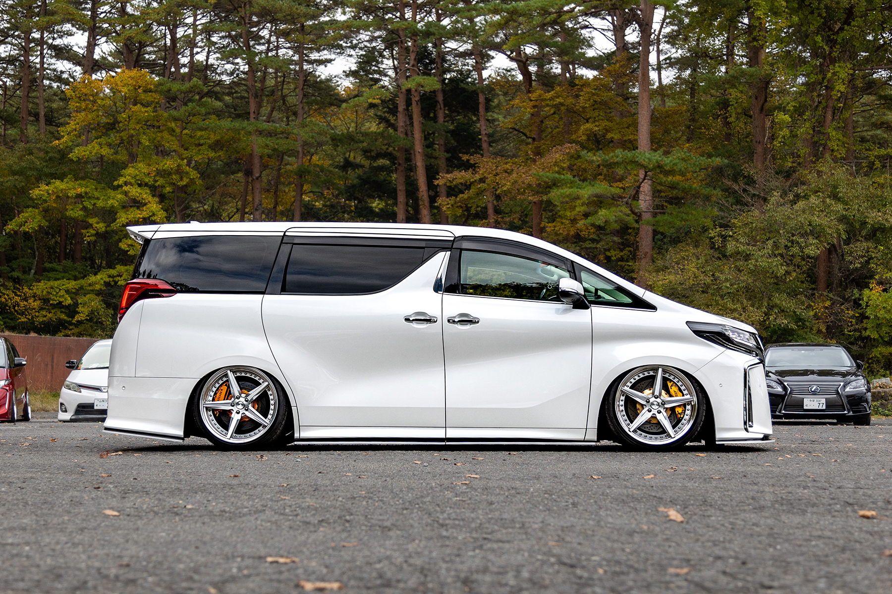 30 ALPHARD