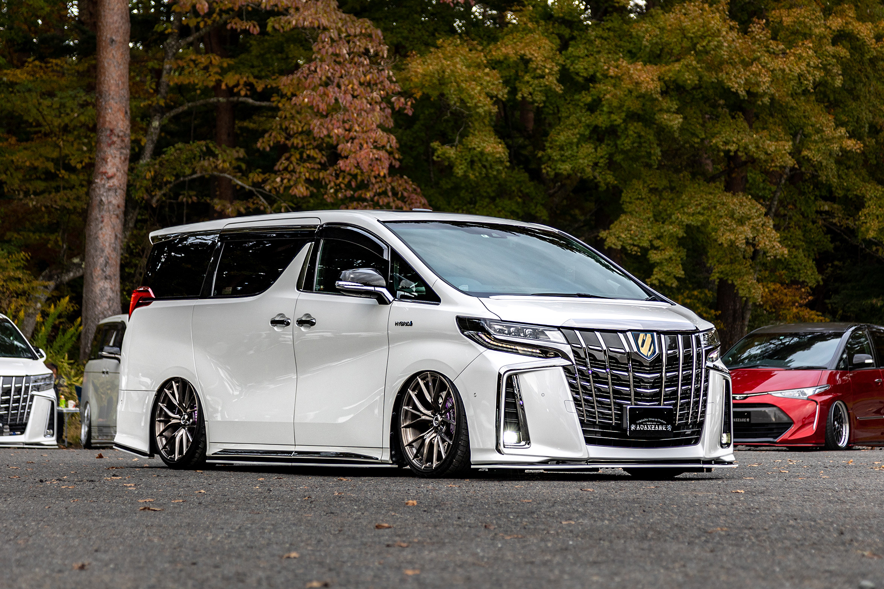 30 ALPHARD