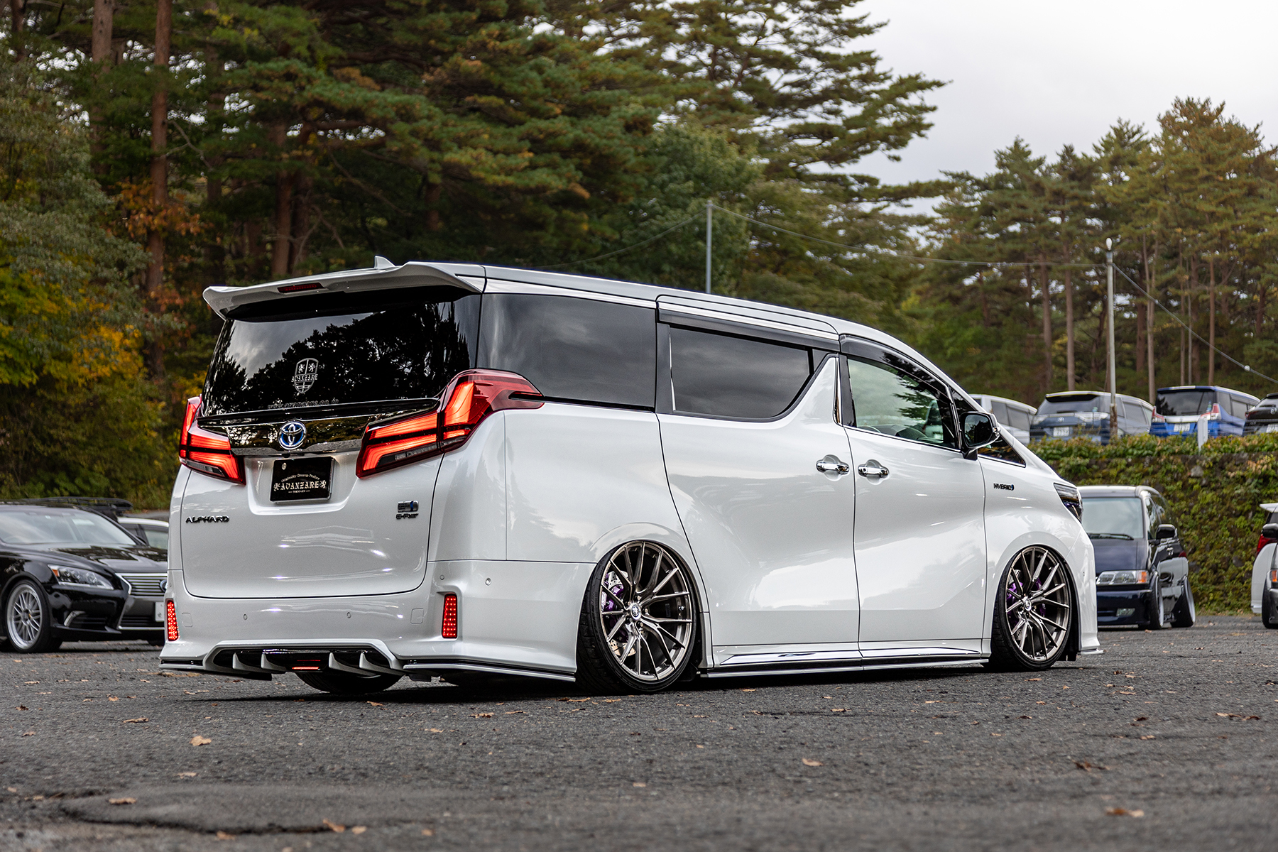 30 ALPHARD