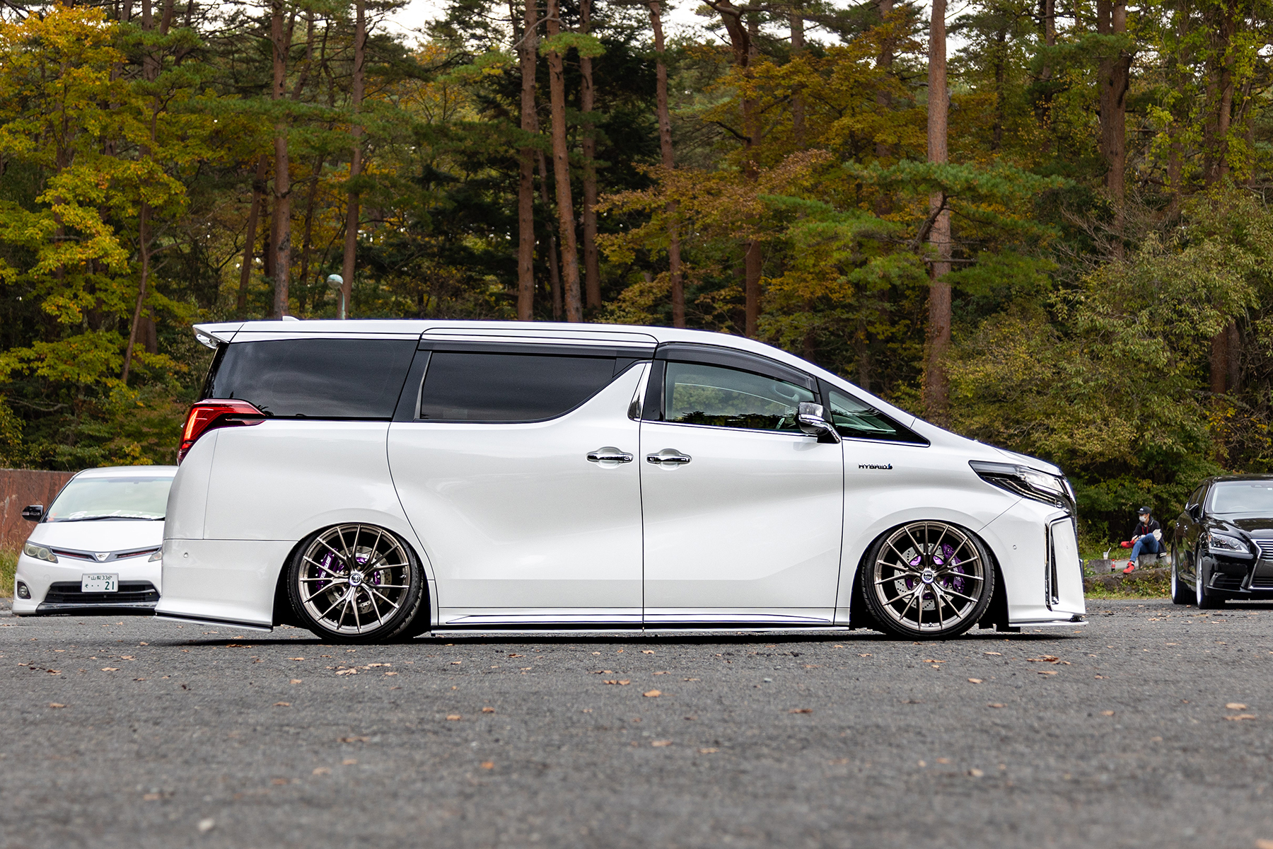 30 ALPHARD