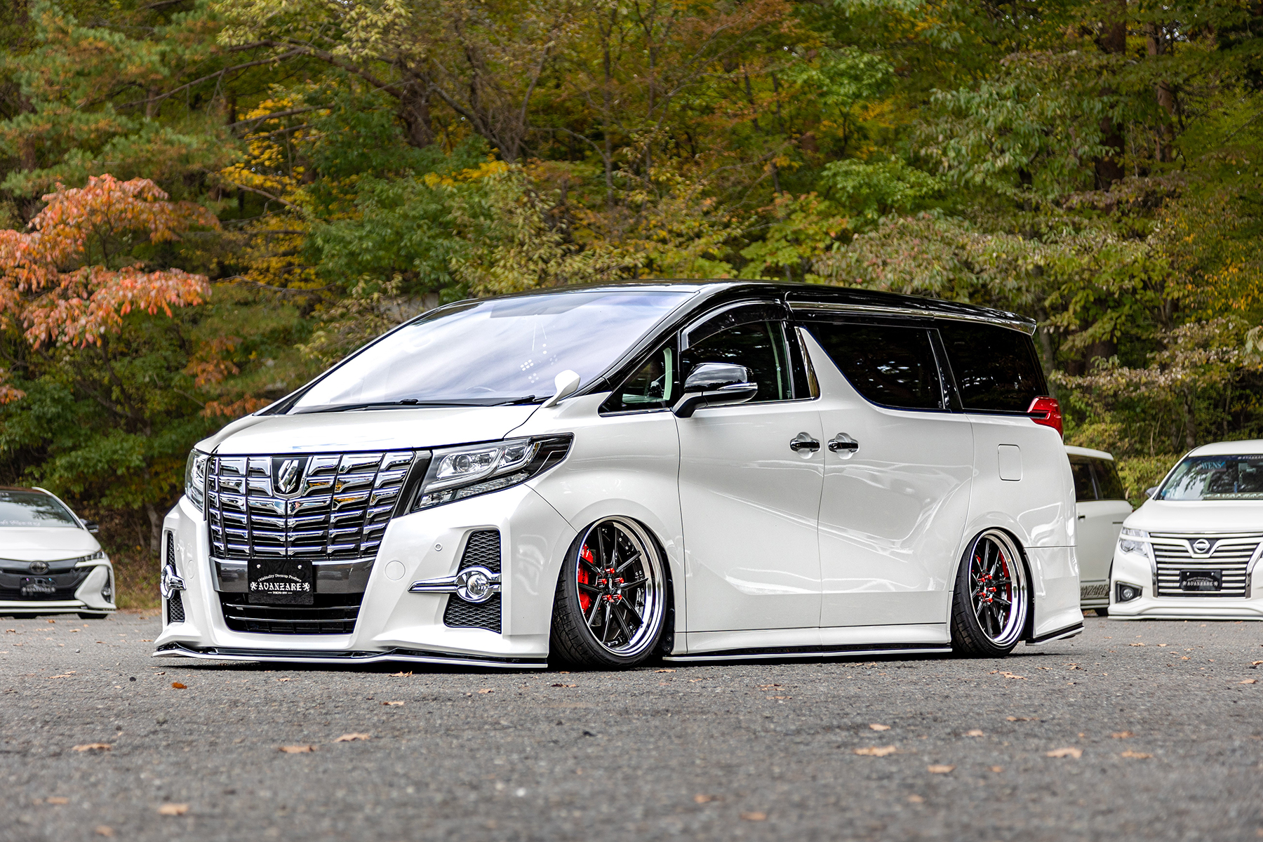 30 ALPHARD