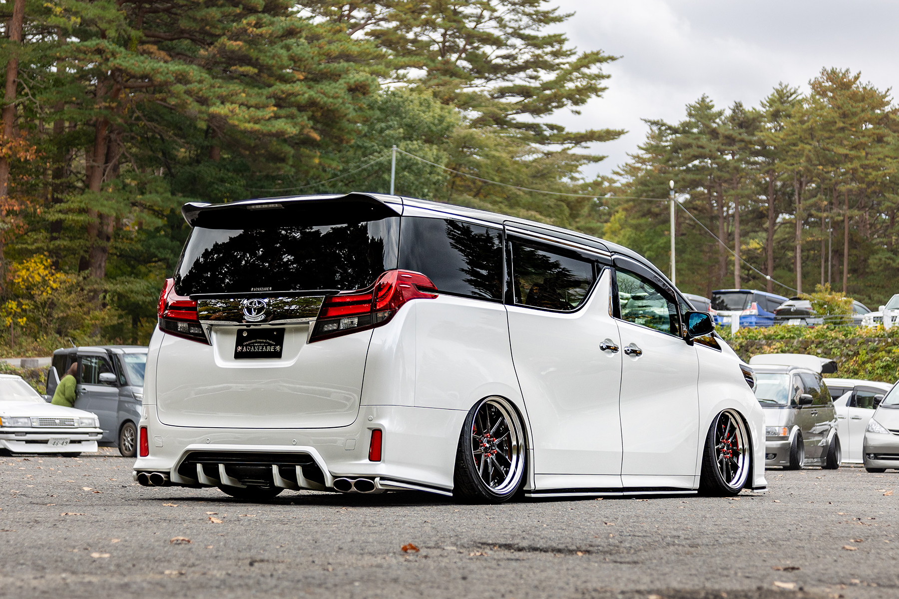 30 ALPHARD