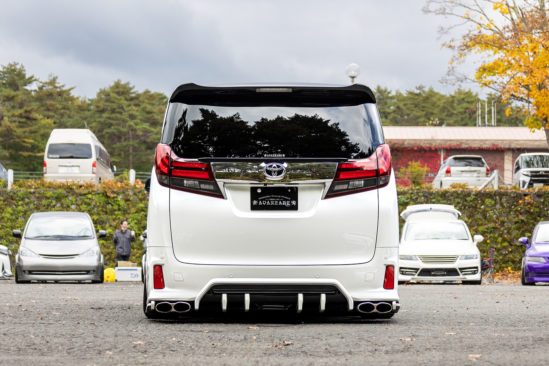 30 ALPHARD